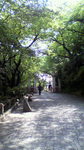 090527_maboroshi.jpg